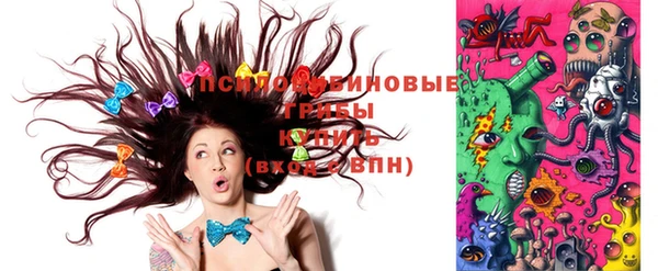 ECSTASY Абаза