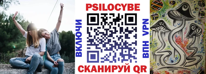 как найти   MEGA   Псилоцибиновые грибы Psilocybe  Донской 
