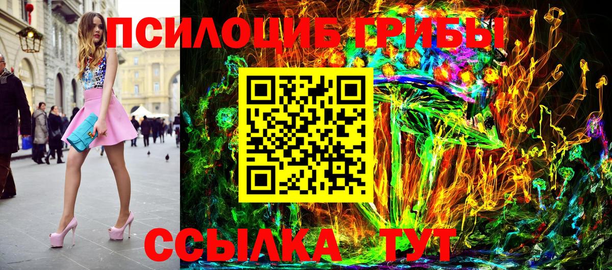 Псилоцибиновые грибы MAGIC MUSHROOMS  купить   Донской  Вход с VPN 