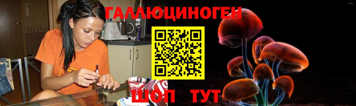 Псилоцибиновые грибы Psilocybe Донской